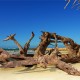 las-terrenas-republica-dominicana-13