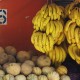 las-terrenas-republica-dominicana-28
